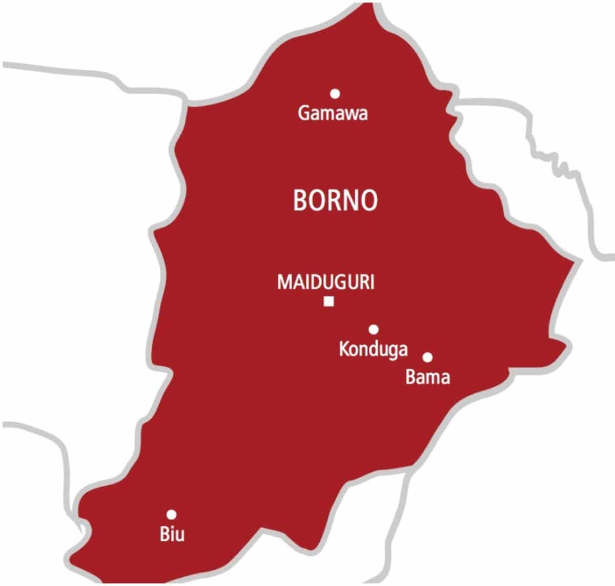 20 soldiers feared missing after ISWAP attack on Marte military base