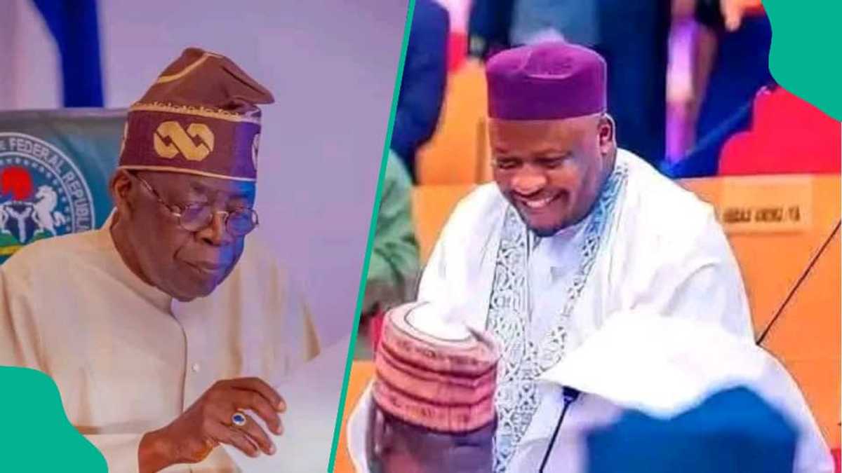 2027: Matasa a Kano Sun Yi Tattakin Nuna Goyon baya ga Kawu Sumaila da Tinubu