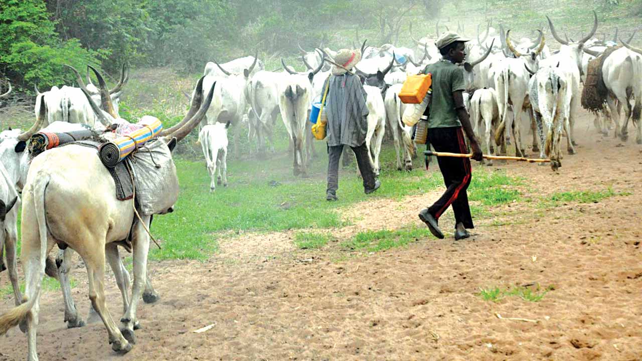 Again, three killed in renewed herdsmen attack in Benue