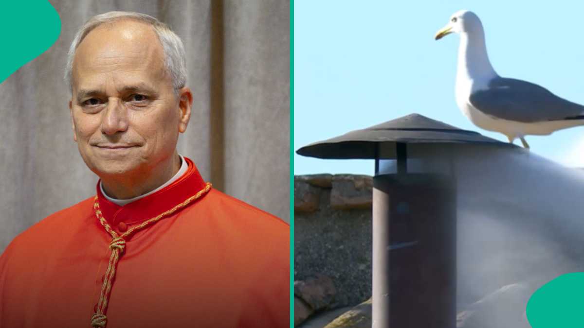 Breaking: America's Robert Francis Prevost Elected Catholic Pope, First From The Country