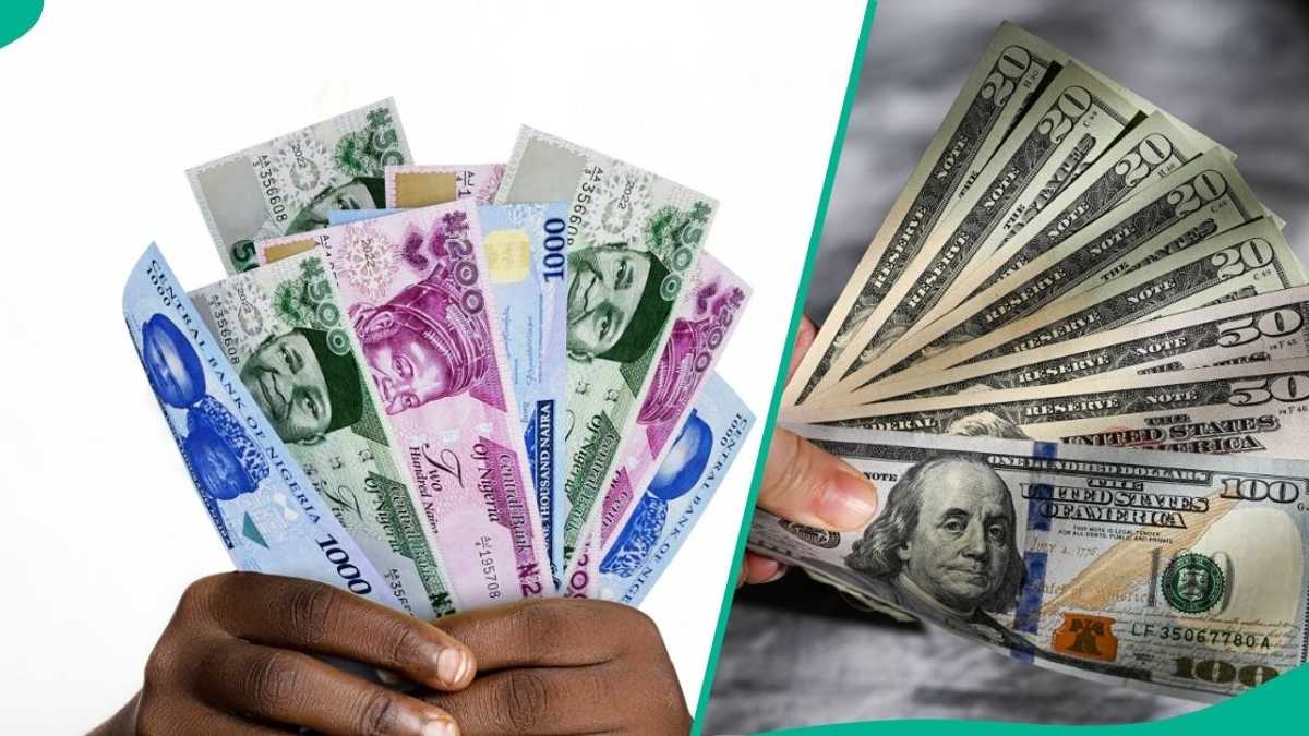 CBN Releases New Exchange Rate as Naira Hits Lowest in Three Weeks