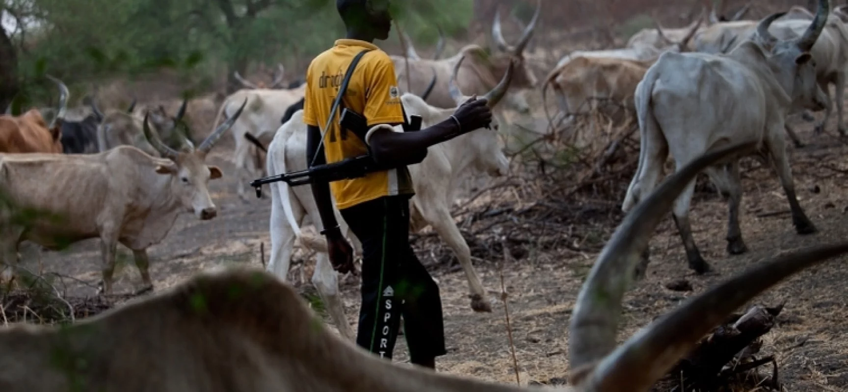 Newly-wed soldier, others killed as suspected herdsmen attack Benue community