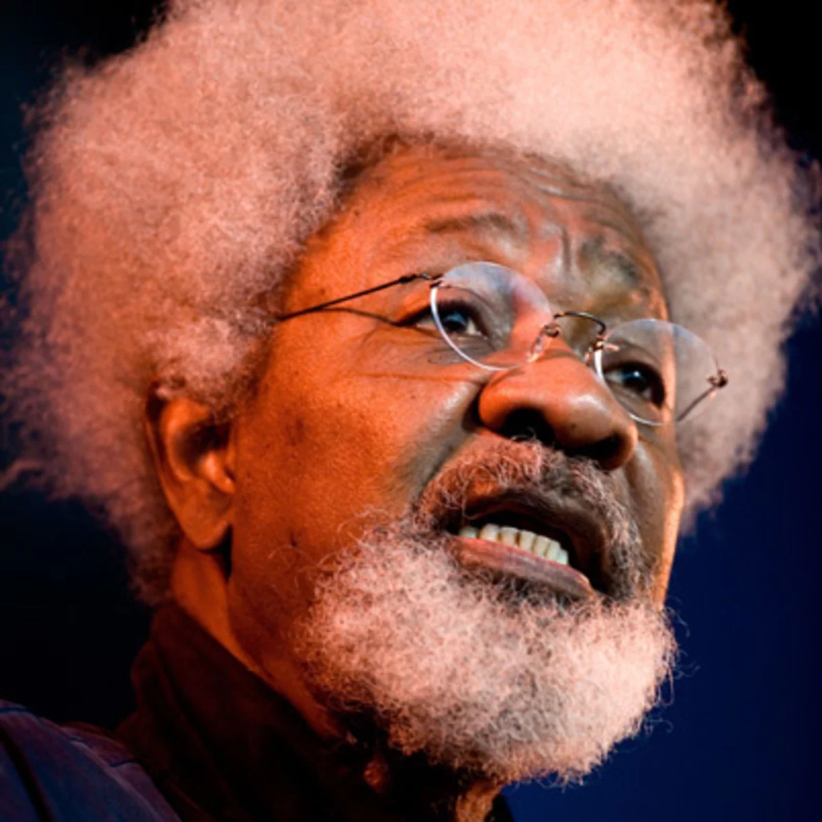 Soyinka explains why Nigeria must promote local languages, culture