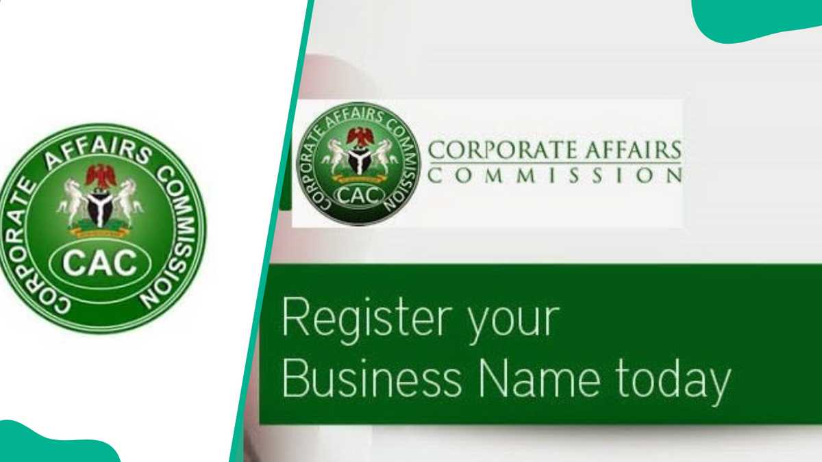 Step-by-step breakdown of the requirements for company registration in Nigeria