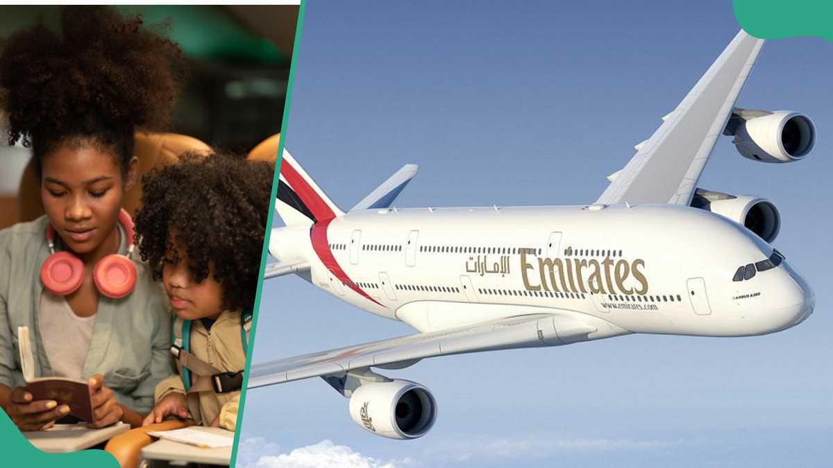 Travel Agents Call For Review of CBN's Dollar Repatriation Policy, Amid Ongoing Challenges